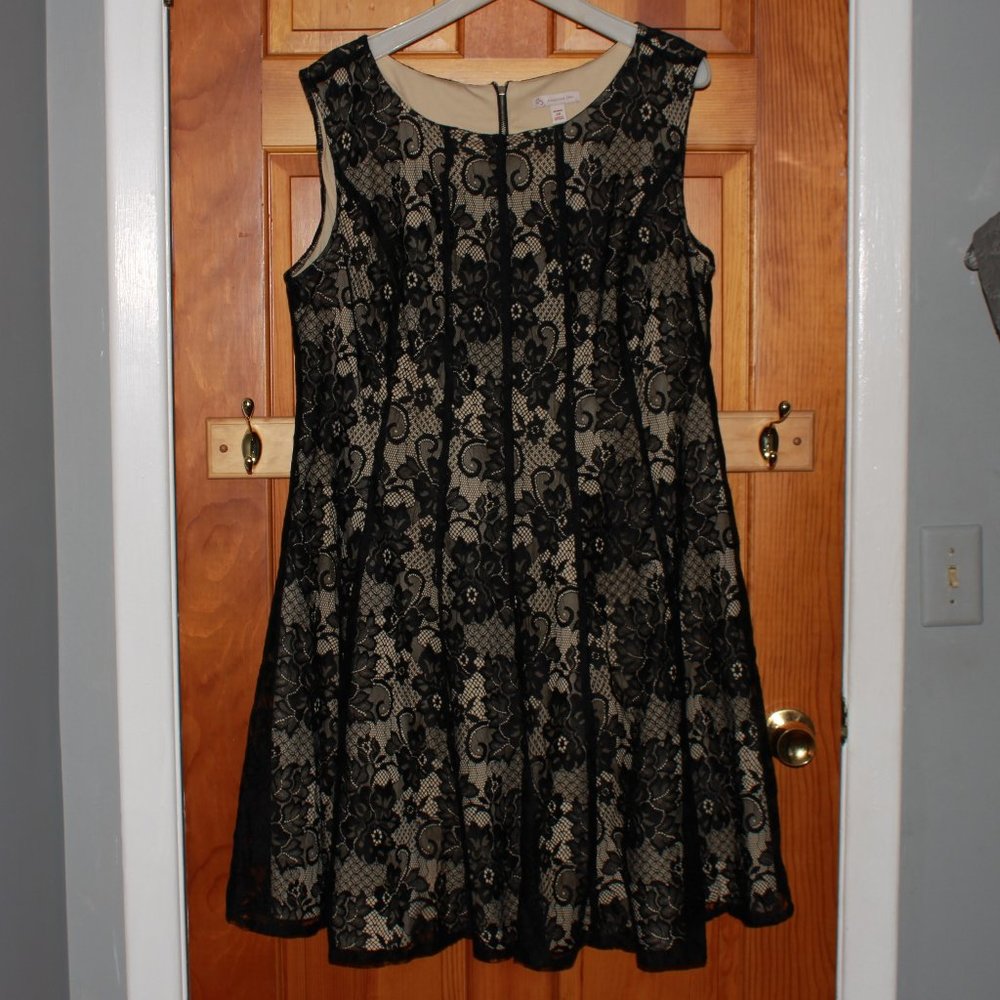 Dressbarn Lace Dress